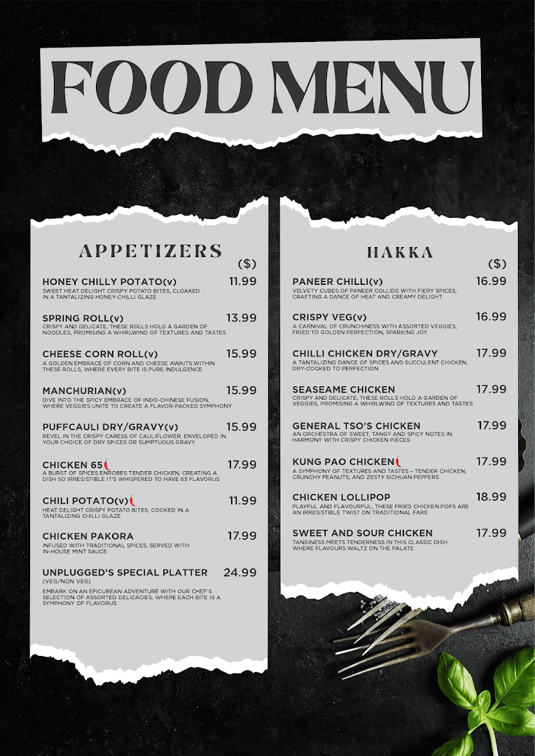 Unplugged Cafe & Bar | Authentic Indian & Hakka Restaurant in Scarborough 6